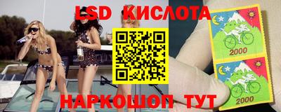 стафф Будённовск
