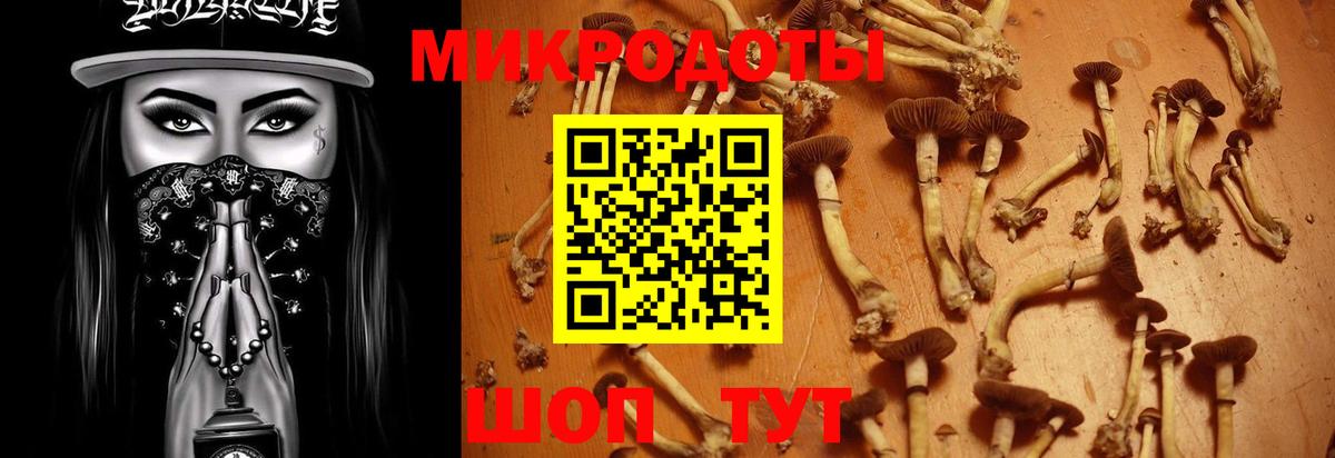 Галлюциногенные грибы MAGIC MUSHROOMS  Вход с VPN  что такое   Шали 